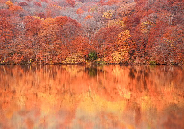 Photograph Masato Saito Autumn Reflection on One Eyeland